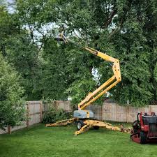 Best Hedge Trimming  in Wyoming, PA